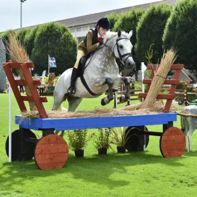 더블린 국제 승마 페스티벌 2024 (Dublin Horse Show)