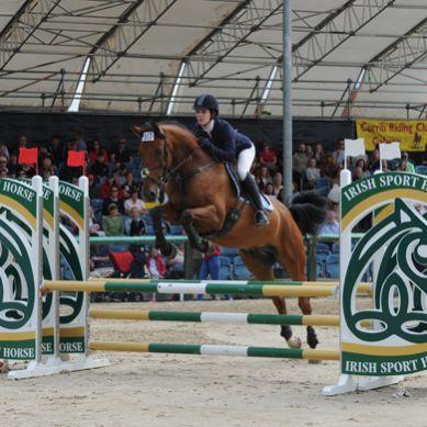 더블린 국제 승마 페스티벌 2025 (Dublin Horse Show)