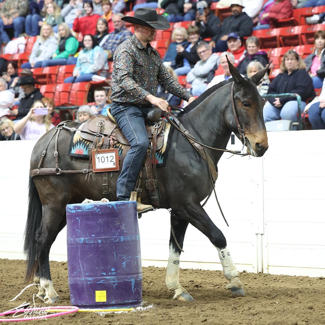 이콰인 어페어 - 북미 승마 대축제 2026 (추계) (Equine Affaire)