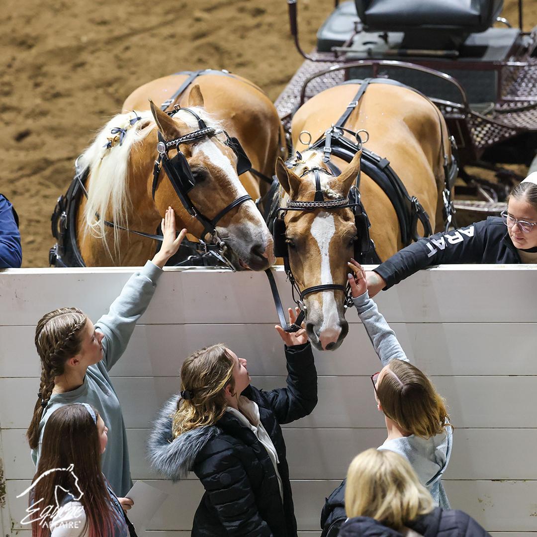 이콰인 어페어 - 북미 승마 대축제 2025 (추계) (Equine Affaire)