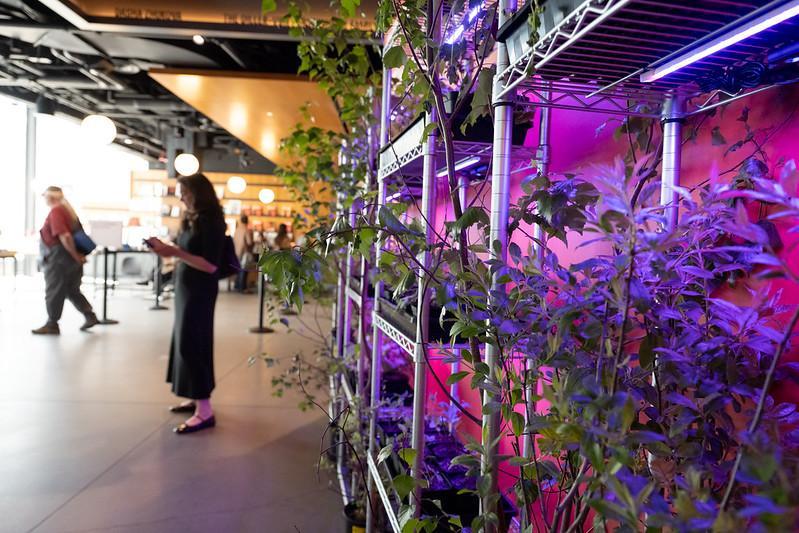 뉴욕 프리즈 아트페어 2025 (Frieze New York)